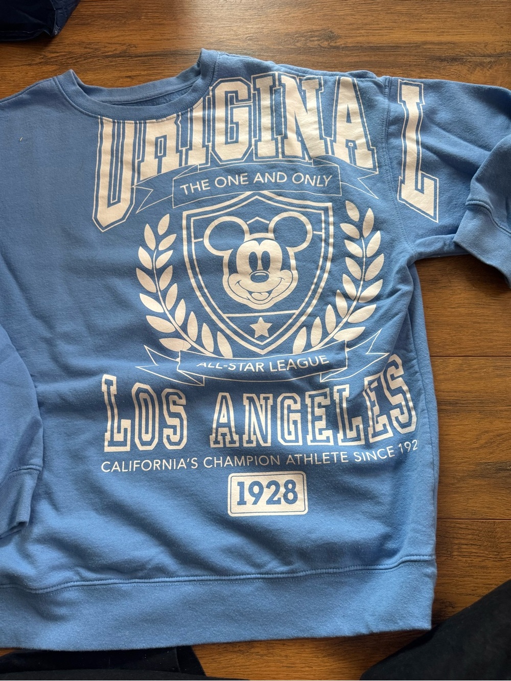 Disney California Sweatshirt